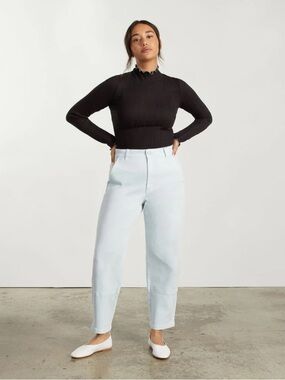 Everlane Barrel Pant in Ice Blue (size 4)